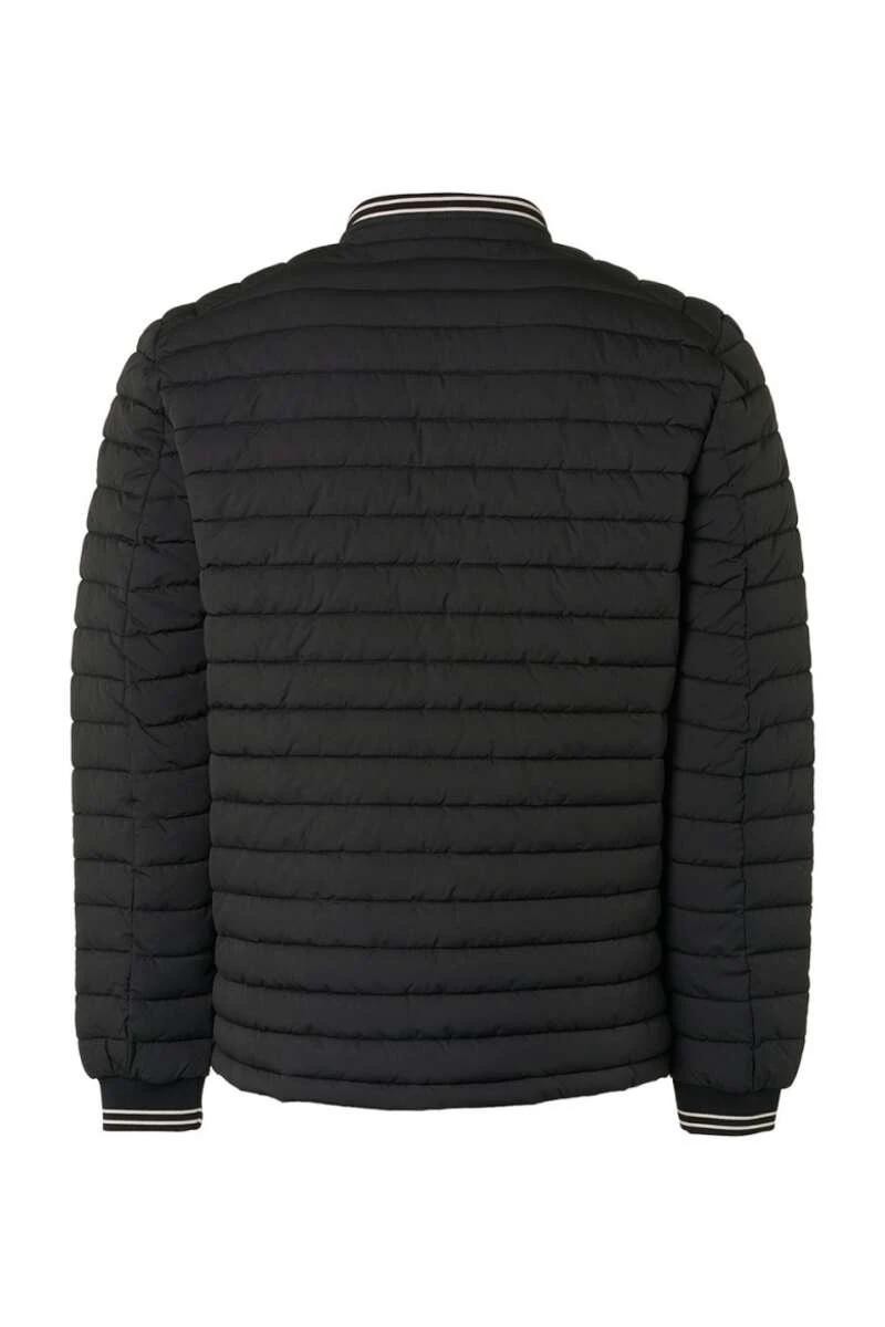 No-Excess No Excess Regular Fit Herren Steppjacke Zip Schwarz 2 No-Excess No Excess Regular Fit Herren Steppjacke Zip Schwarz – Bild 2