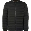 No-Excess No Excess Regular Fit Herren Steppjacke Zip Schwarz