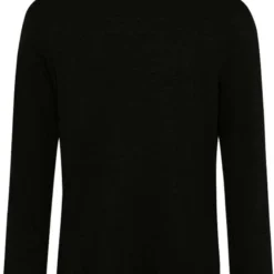 Brax Modern Fit Herren Rollkragenpullover Schwarz