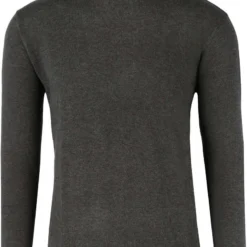 Redmond Regular Fit Herren Rollkragenpullover Anthrazit