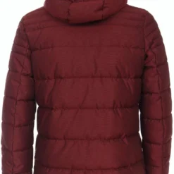 Casa Moda Casual Fit Herren Parka Kapuze Bordeaux 10 Casa Moda Casual Fit Herren Parka Kapuze Bordeaux -Angebote Pierre Cardin Store 523926800 436 6 800dCJ15vAVAq2zj